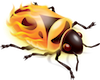 Firebug logo Firebug logo