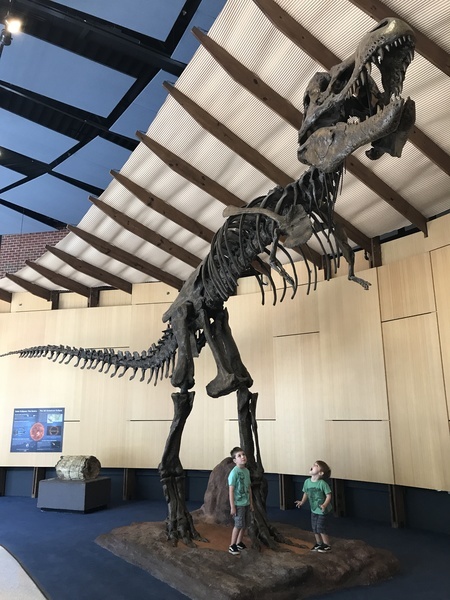 Photo of Jeremy's kids under a skeleton of a Tyrannasaurus Rex Photo of Jeremy's kids under a skeleton of a Tyrannasaurus Rex